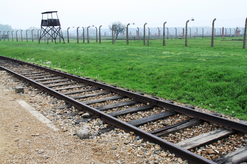 Poland - Auschwitz (38)