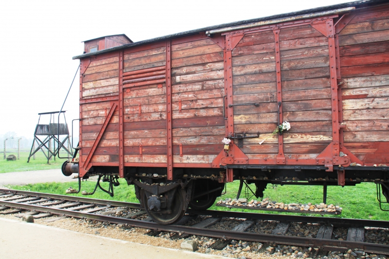 Poland - Auschwitz (42)