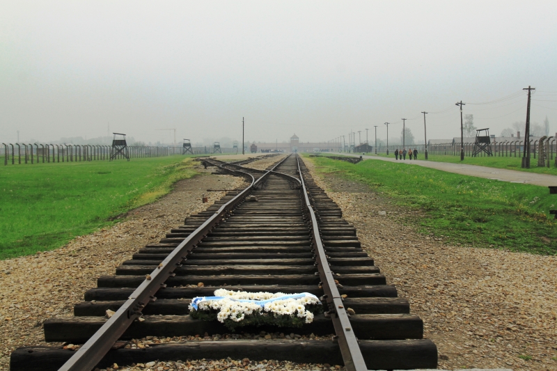 Poland - Auschwitz (62)