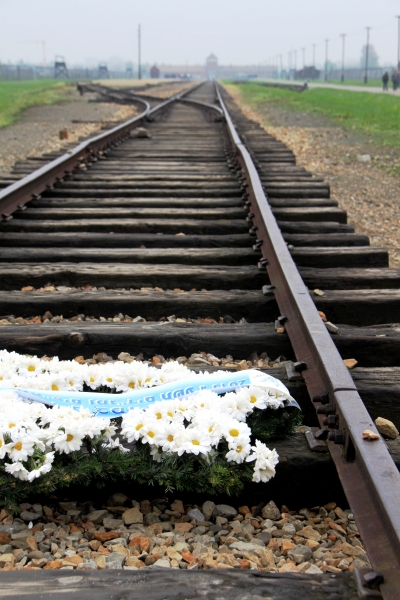 Poland - Auschwitz (64)