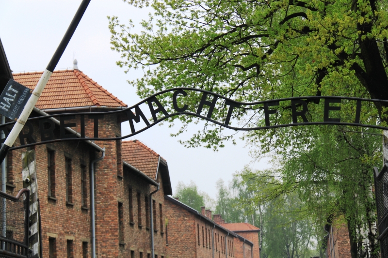 Poland - Auschwitz (74)