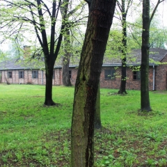 Poland - Auschwitz (1)