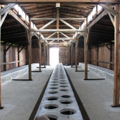 Poland - Auschwitz (11)