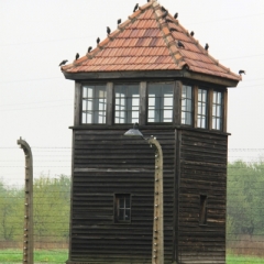 Poland - Auschwitz (14)