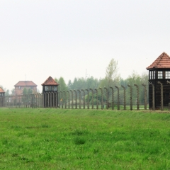 Poland - Auschwitz (17)