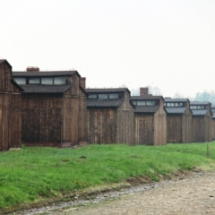 Poland - Auschwitz (18)