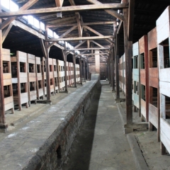 Poland - Auschwitz (24)