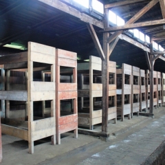 Poland - Auschwitz (25)