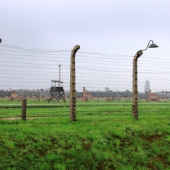 Poland - Auschwitz (29)