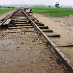 Poland - Auschwitz (3)