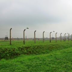 Poland - Auschwitz (30)