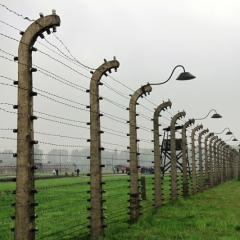 Poland - Auschwitz (31)