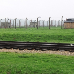 Poland - Auschwitz (32)