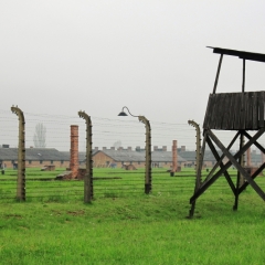 Poland - Auschwitz (35)