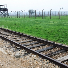 Poland - Auschwitz (38)