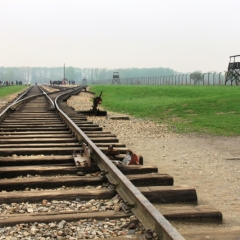 Poland - Auschwitz (4)