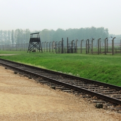 Poland - Auschwitz (40)