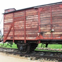 Poland - Auschwitz (42)