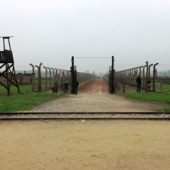 Poland - Auschwitz (43)