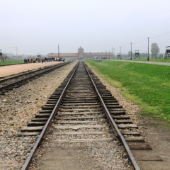 Poland - Auschwitz (48)