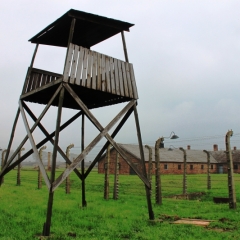 Poland - Auschwitz (54)