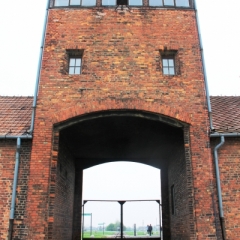 Poland - Auschwitz (6)