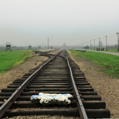 Poland - Auschwitz (62)