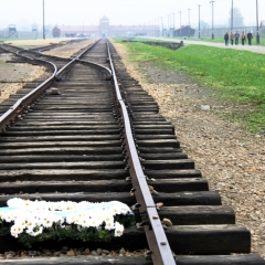 Poland - Auschwitz (63)