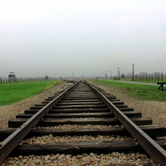 Poland - Auschwitz (66)