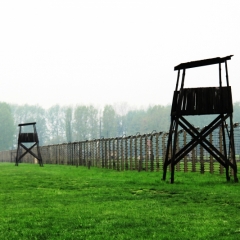 Poland - Auschwitz (7)