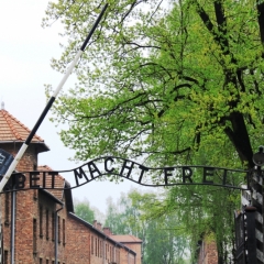 Poland - Auschwitz (73)