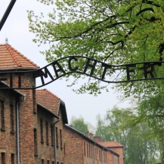 Poland - Auschwitz (74)