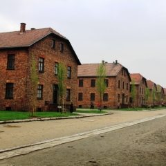 Poland - Auschwitz (76)