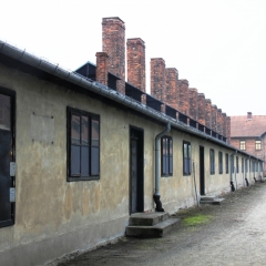 Poland - Auschwitz (80)