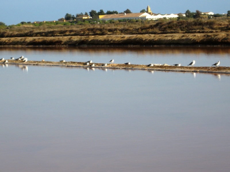 Portugal-264