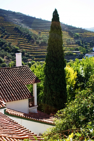 Portugal-294