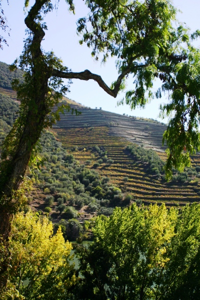 Portugal-295