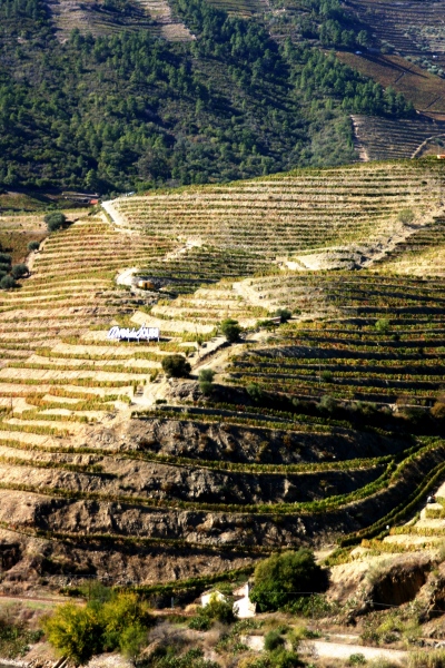 Portugal-312