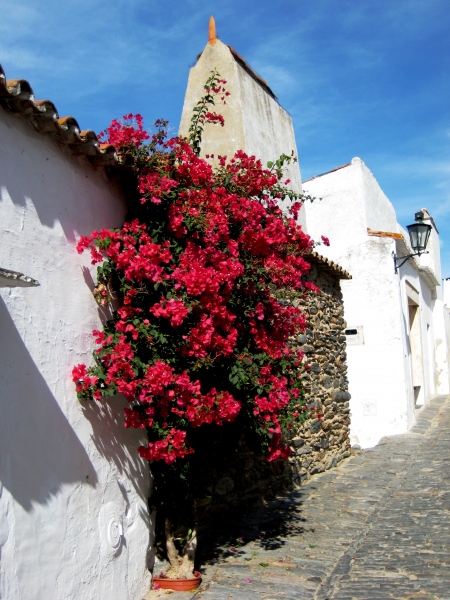 Portugal-52