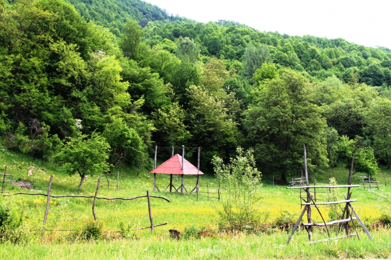 Roemenië (190)