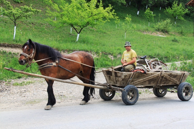 Roemenië (26)