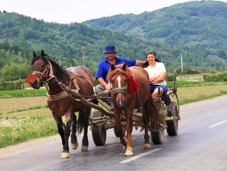 Roemenië (28)
