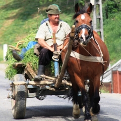 Roemenië (21)