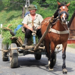 Roemenië (22)