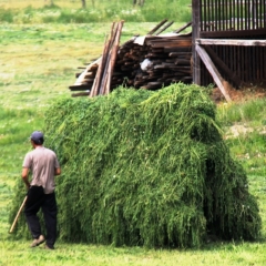 Roemenië (25)