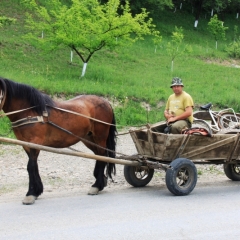 Roemenië (26)