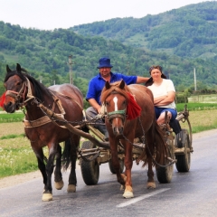 Roemenië (28)