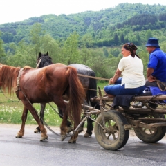 Roemenië (29)