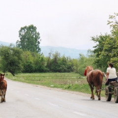 Roemenië (34)