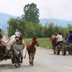 Roemenië (35)